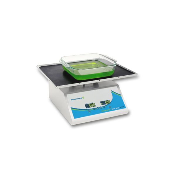EVERLAST™ ROCKER WITH VARIABLE SPEED AND FLAT MAT - Image 2