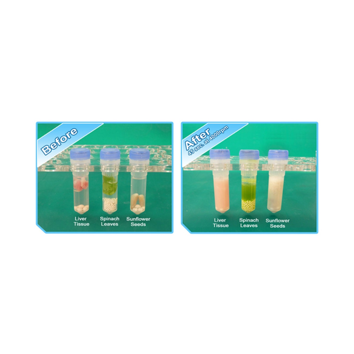 BEADBUG™3 MICROTUBE HOMOGENIZER, 115V - Image 5