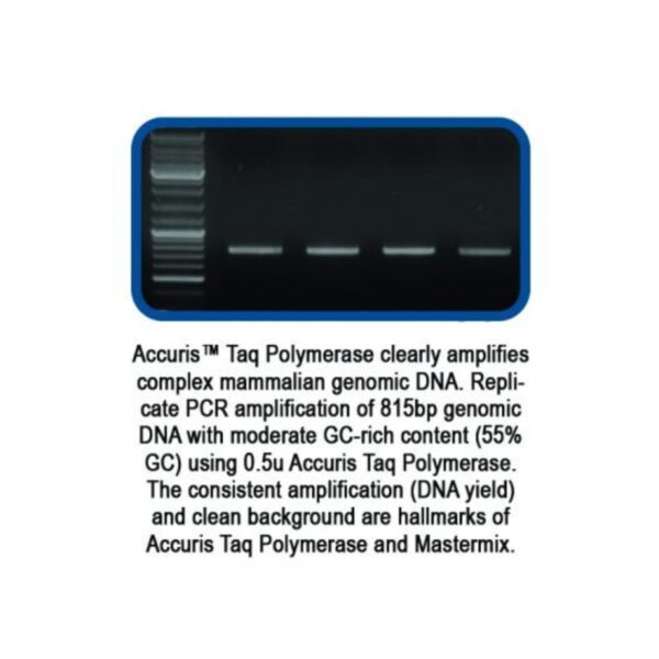 Accuris ™ Taq - Image 3