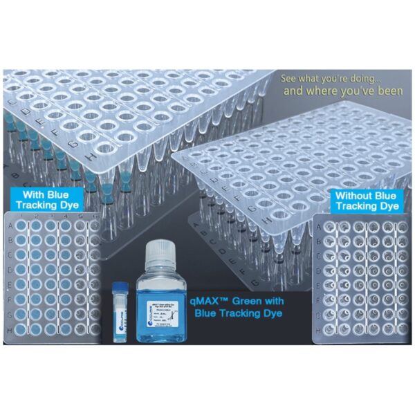 qMAX™ Green qPCR Mix With Blue Tracking Dye - Image 4