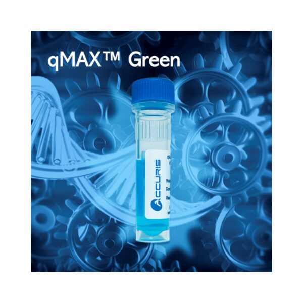 qMAX™ Green qPCR Mix With Blue Tracking Dye